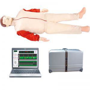 Advanced computer cardiopulmonary resuscitation simulator (computer ...
