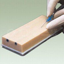 IV Injection Training Pad (with 2 vessels)