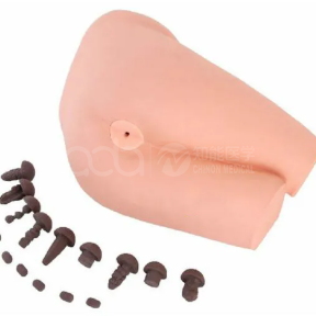 Rectal Examination Operation Model