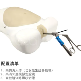 Hysteroscopic surgery simulation training system