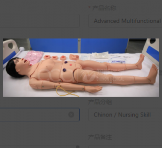 Advanced Multifunctional Female Care Training Simulator