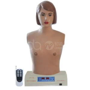 Remote computer chest cardiopulmonary auscultation simulator