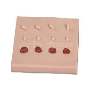 Epidermis common lesions treatment training module