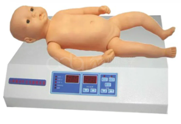 Baby cardiopulmonary auscultation palpation computer simulation human stand alone version