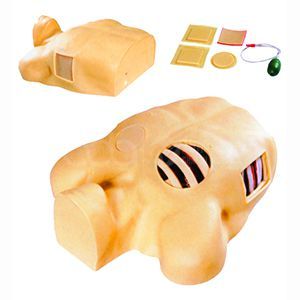 Thorax Puncture Drainage Model