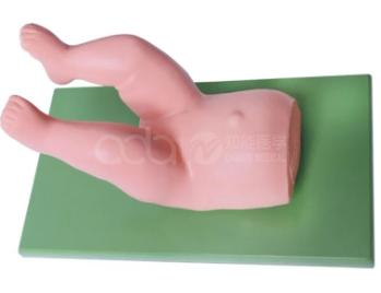 Infant Hip Reduction Operation Model