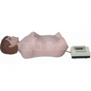 Automatic abdominal palpation and auscultation simulator (stand-alone version)