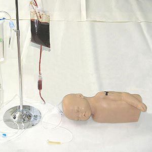 Infant head and arm venipuncture injection model