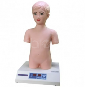 Cardiopulmonary Palpation and Auscultation Model for Children