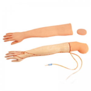 Full functional arm venipuncture injection model Features
