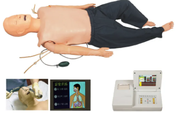 High-intelligence digital adult comprehensive first-aid skills training system
