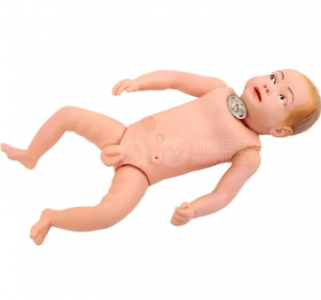 Advanced Infant Tracheostomy Nursing Model