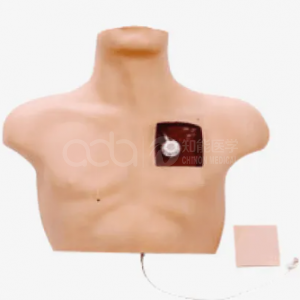 Venous Intervention Simulator
