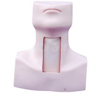Tracheostomy Simulator