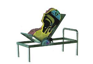 Advanced Swallowing Mechanism Model