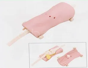 Knee Arthroscopy Model
