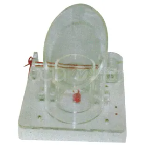 Multifunctional Electronic Knot Training Model