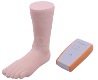 Ankle Puncture Model