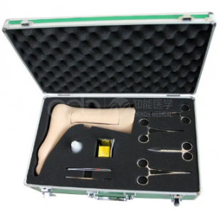Phlebotomy Model