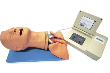 Advanced multifunctional airway management model