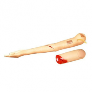 Controlled Bleeding Arm Model