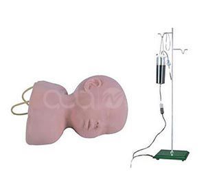 Infant head venipuncture training model