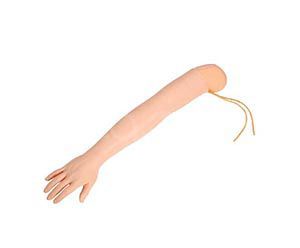 Advanced arm venipuncture and deltoid muscle injection model