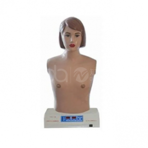 Auscultation and Palpation model