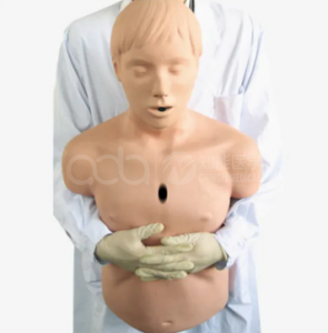 Advanced adult airway obstruction and CPR model