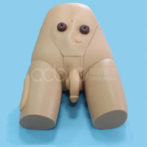 Male urethral catheterization simulator