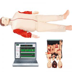 Advanced cardiopulmonary resuscitation (trauma care) simulator