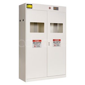 Three-cylinder gas cylinder cabinet for detecting different gases