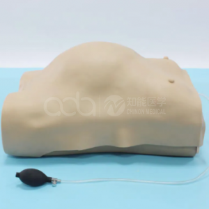 Advanced electronic Pregnant Women Examination manikin