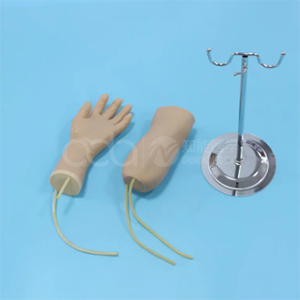 Hand and Elbow Combined Intravenous Transfusion Simulator