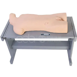 Liver abscess puncture and thorax puncture training manikin