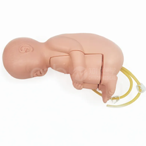 The Newborn Waist Puncture Manikin