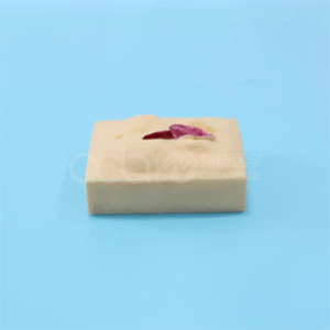 vulva suture training model