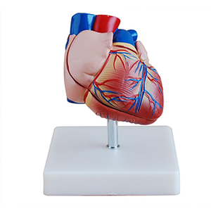 1703732241.png 5376917.png