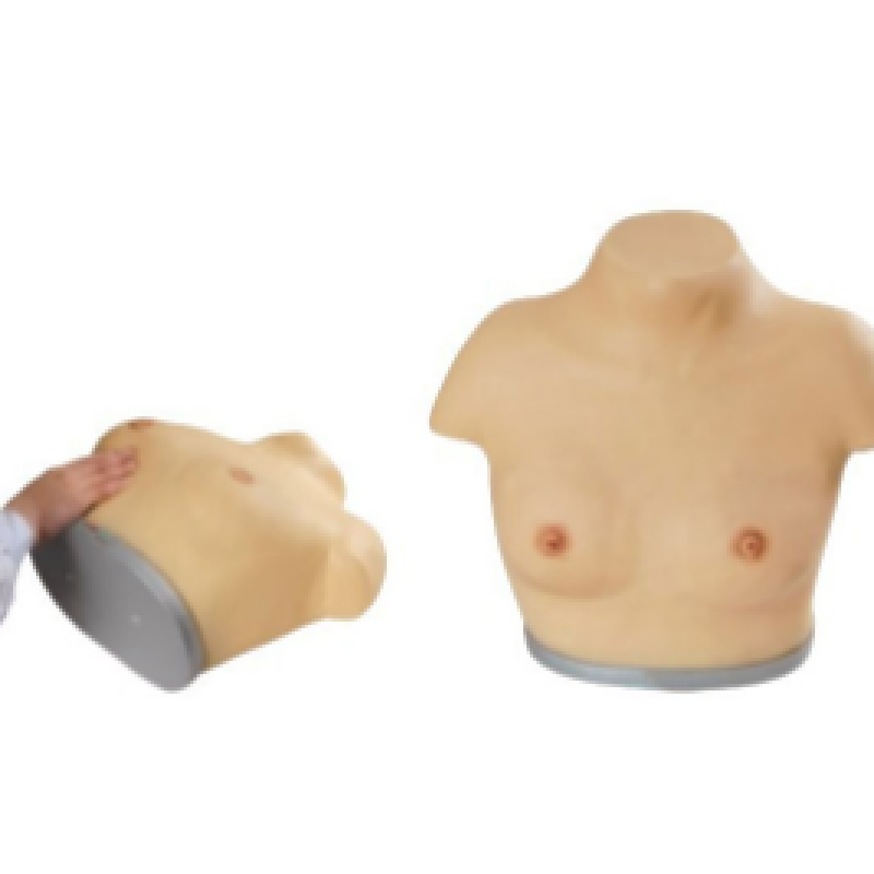 5138162.png
