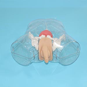 transparent catheterization model