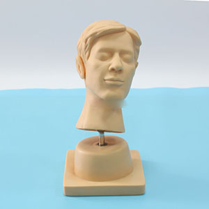 Medical teaching model