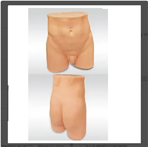 <a href=''><span style='color:#2f82c5; display:inline; font-weight:bold;'>Hip training model of acupuncture</span></a>