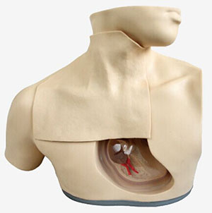 <a href=''><span style='color:#2f82c5; display:inline; font-weight:bold;'>Parenteral nutrition Nursing Model</span></a>