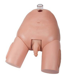 <a href=''><span style='color:#2f82c5; display:inline; font-weight:bold;'>Bladder puncture model</span></a>