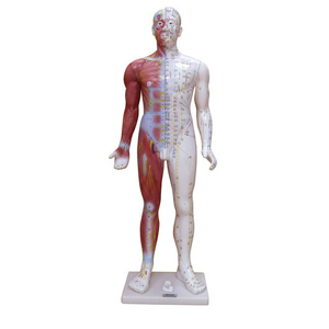 <a href=''><span style='color:#2f82c5; display:inline; font-weight:bold;'>14 Meridian point model</span></a>