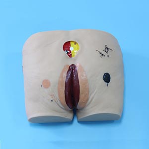Medical care model